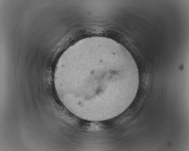 X0000115590612200912011505