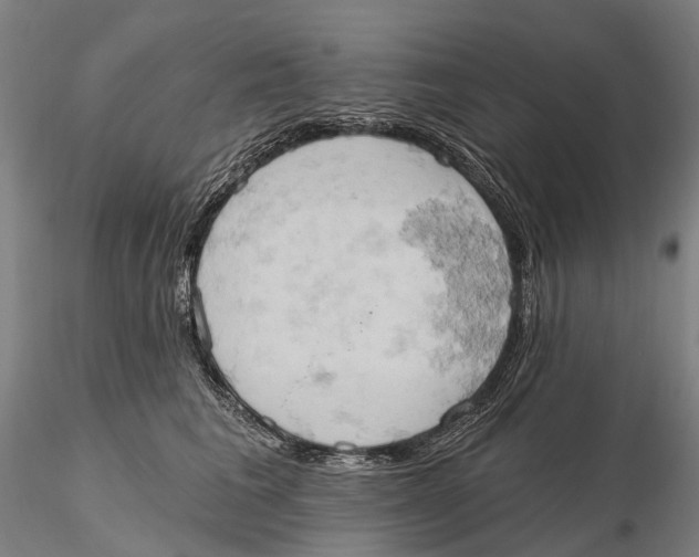 X0000115590613200912011505