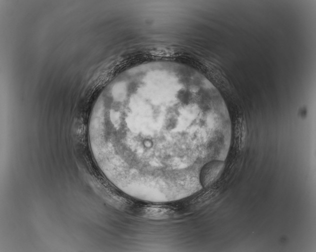 X0000115590614200912011505