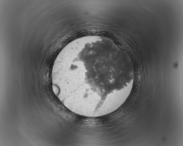X0000115590615200912011505