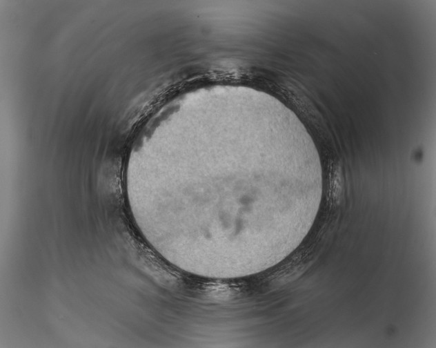 X0000115590616200912011505