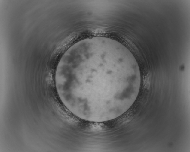 X0000115590618200912011505
