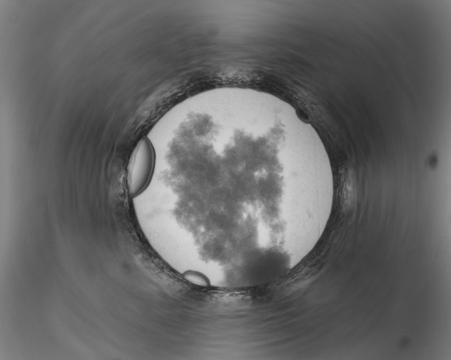 X0000115590619200912011505