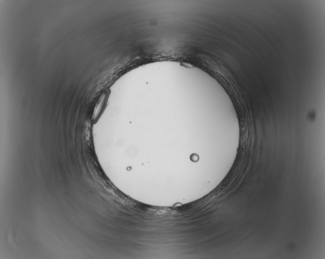 X0000115590621200912011505