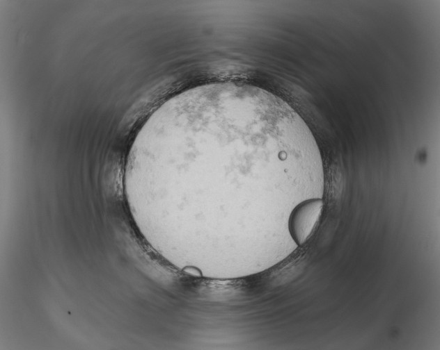 X0000115590622200912011505