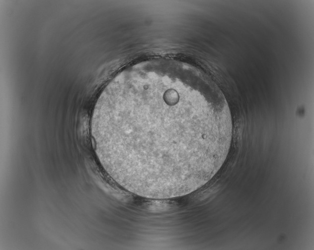 X0000115590623200912011505