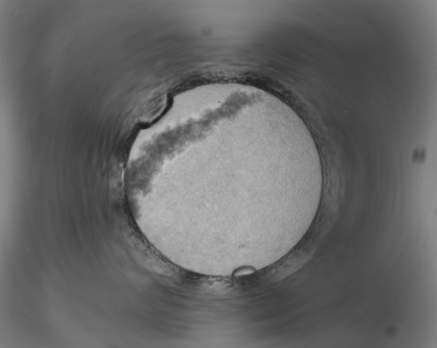 X0000115590624200912011505