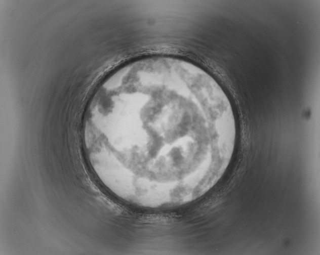 X0000115590625200912011504