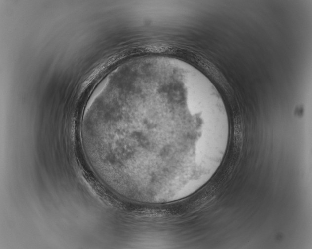 X0000115590626200912011504