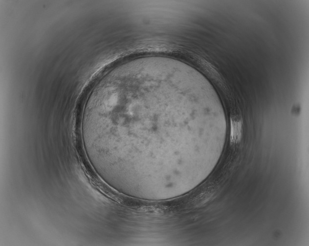 X0000115590627200912011504