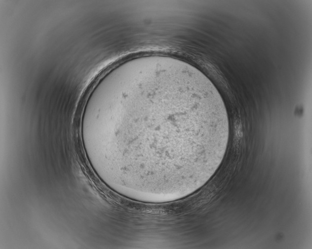 X0000115590628200912011504