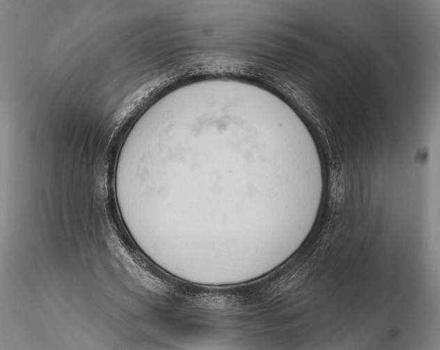 X0000115590629200912011504