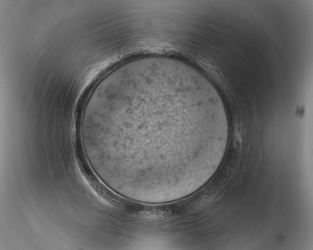 X0000115590630200912011504