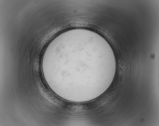 X0000115590631200912011504