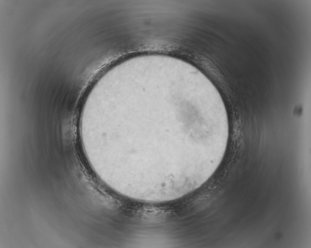 X0000115590632200912011504