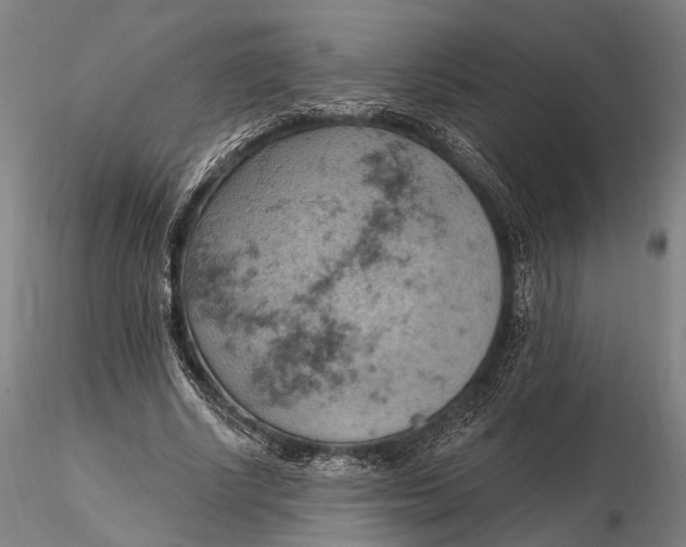 X0000115590634200912011504