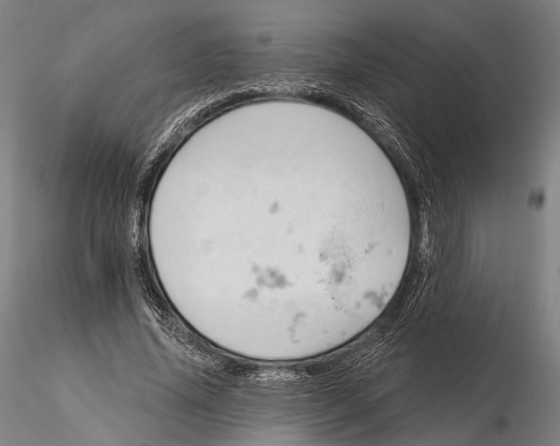 X0000115590636200912011504