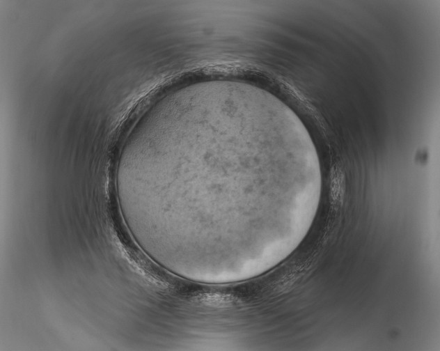 X0000115590637200912011504