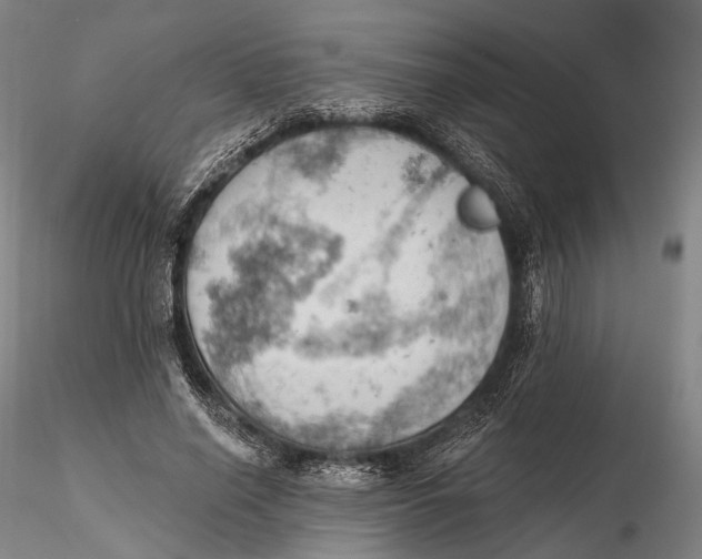 X0000115590638200912011504