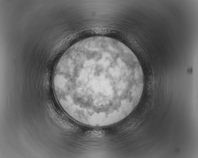 X0000115590639200912011504