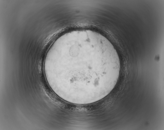 X0000115590640200912011504