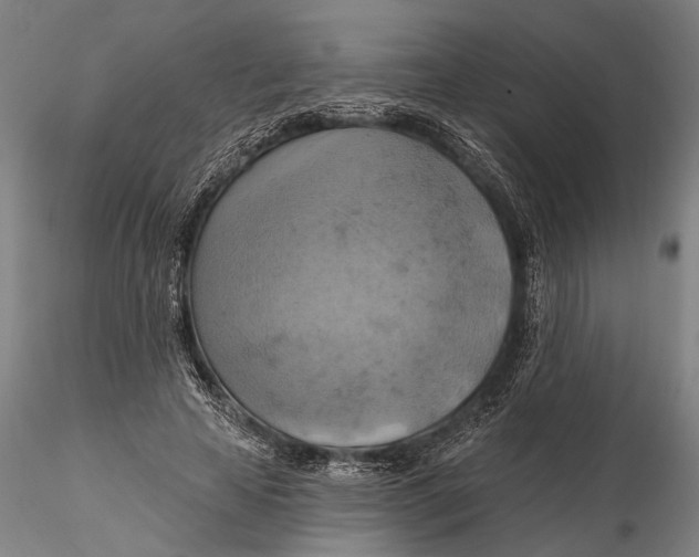 X0000115590641200912011504