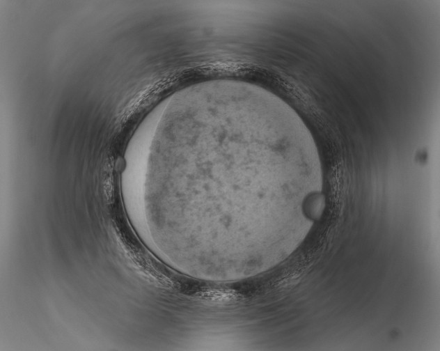 X0000115590642200912011504