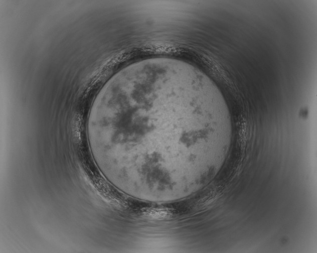 X0000115590643200912011504