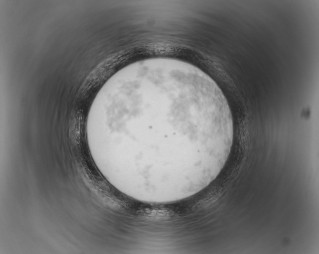 X0000115590645200912011504