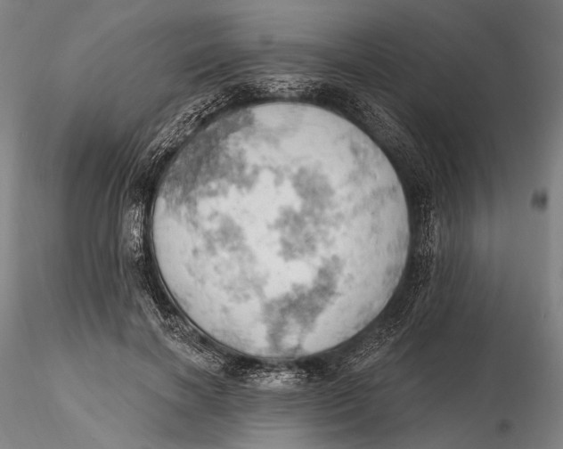 X0000115590646200912011504