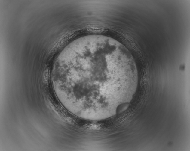 X0000115590647200912011504