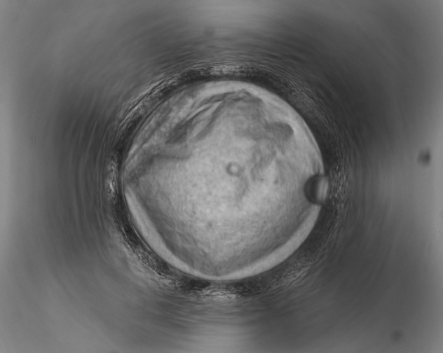 X0000115590648200912011504