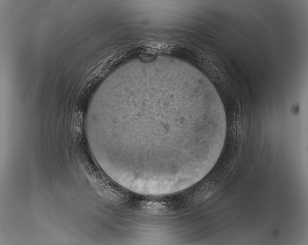 X0000115590649200912011504