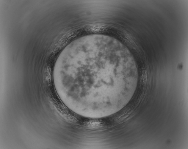 X0000115590651200912011504