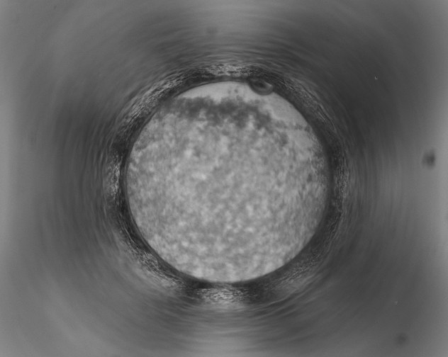 X0000115590652200912011504