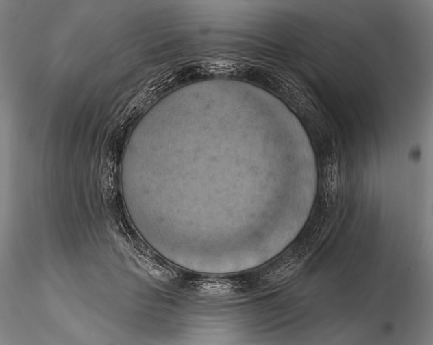 X0000115590653200912011504