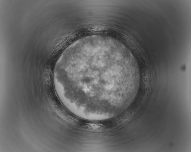 X0000115590654200912011504
