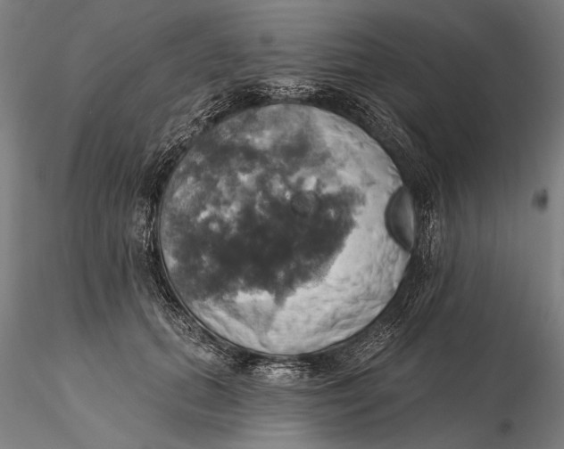 X0000115590655200912011504