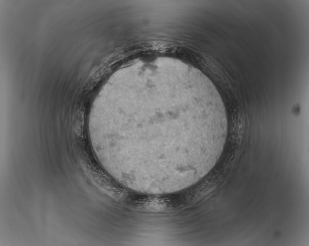 X0000115590656200912011504