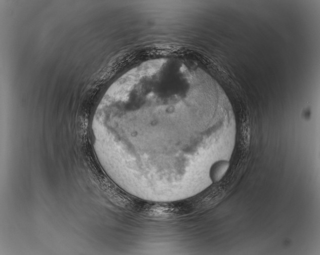 X0000115590657200912011504