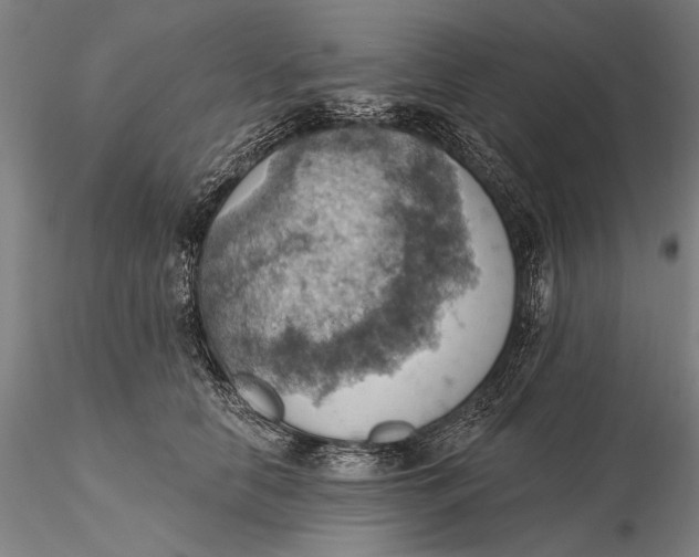 X0000115590658200912011504