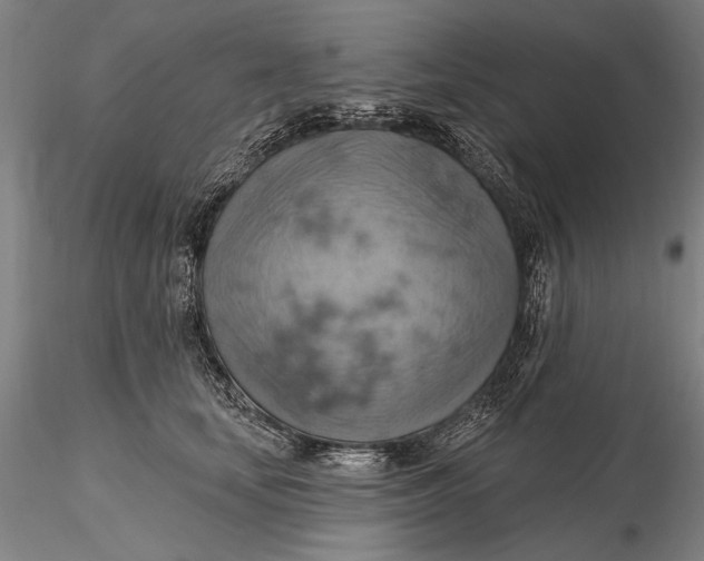 X0000115590659200912011504