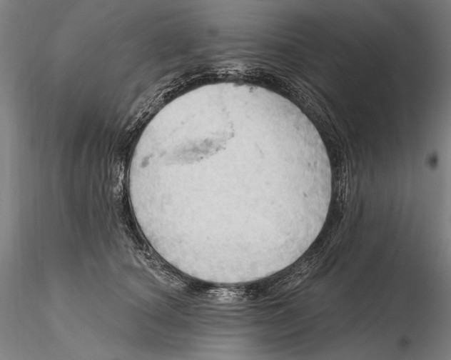 X0000115590660200912011504