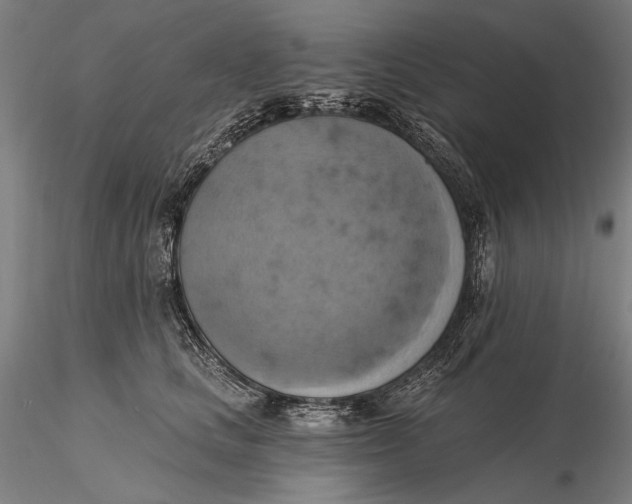 X0000115590661200912011504