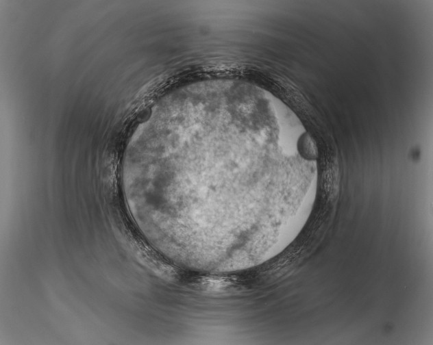 X0000115590662200912011504