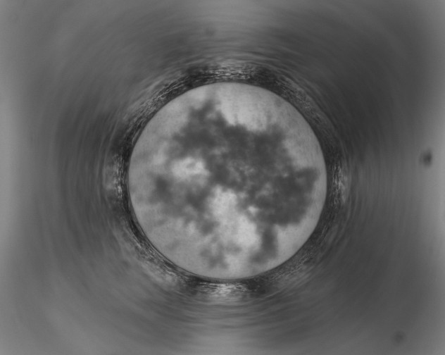 X0000115590663200912011504