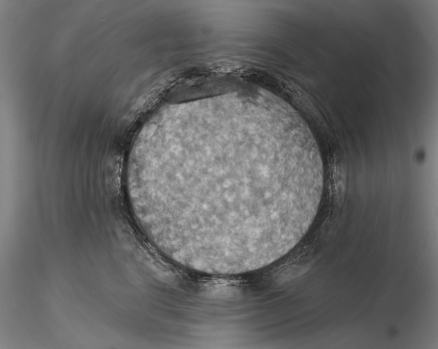 X0000115590664200912011504
