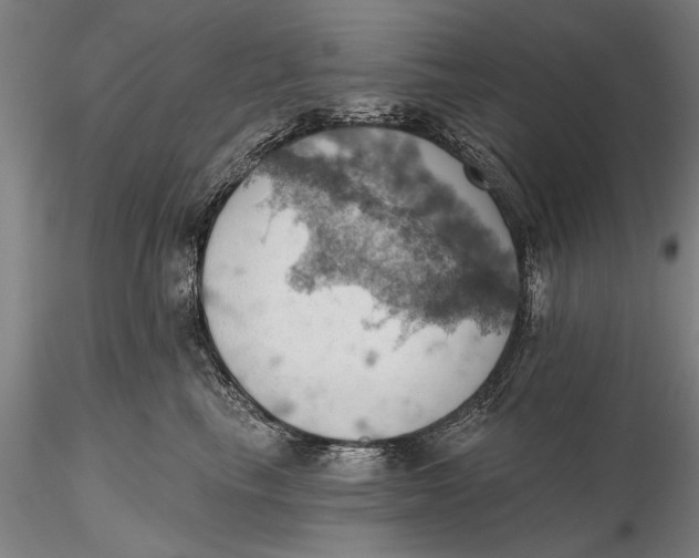 X0000115590665200912011504