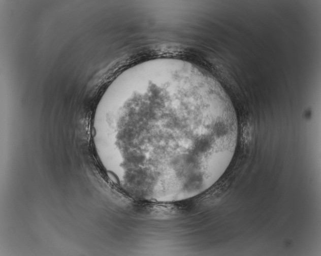 X0000115590666200912011504
