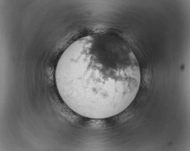 X0000115590667200912011504